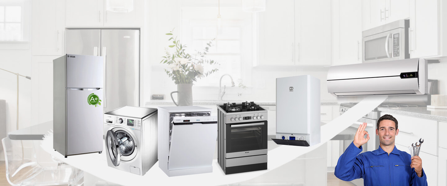 Karacasu Electrolux Servisi